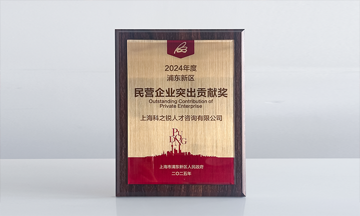 人力资源供应商球盟会(中国)国际凭借人才服务与在区域经济开展中的卓越表现荣膺2024年度浦东新区民营企业奖项